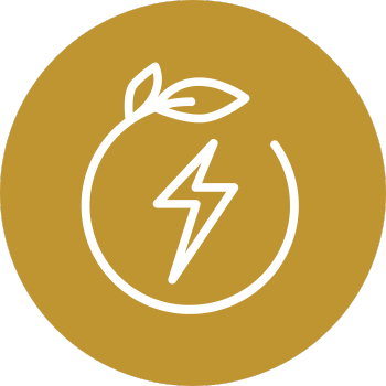 Lebeleichtsinn_Icon_11_2025